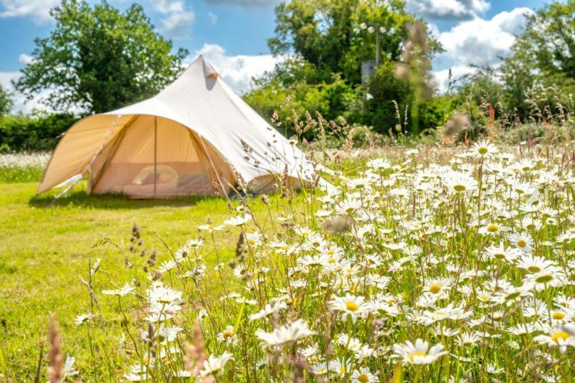 Red Clover At Blanca'S Bell Tents Villa Ringstead  Exterior photo