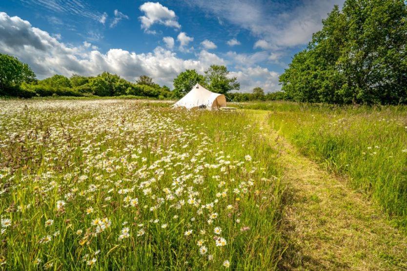 Red Clover At Blanca'S Bell Tents Villa Ringstead  Exterior photo